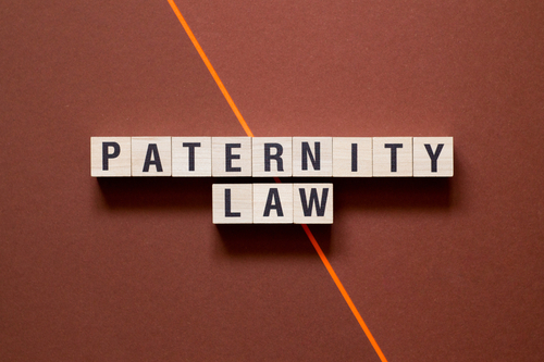 What You Must Know About Paternity Laws In Illinois